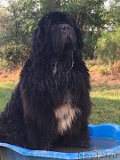 Превью фото № 243894