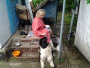 Превью фото № 243908