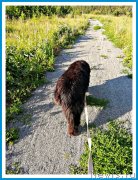 Превью фото № 243917