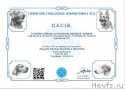 Превью фото № 243924