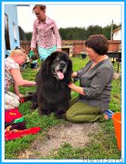 Превью фото № 243928