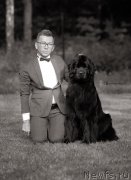 Превью фото № 243966