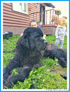 Превью фото № 243993