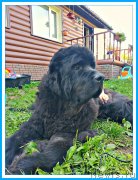 Превью фото № 243997