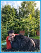 Превью фото № 244001