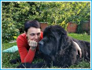 Превью фото № 244003