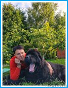 Превью фото № 244006