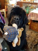 Превью фото № 244018