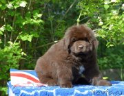 Превью фото № 244031