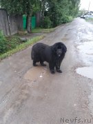 Превью фото № 244041