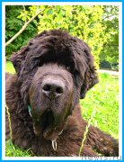 Превью фото № 244043