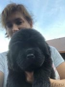 Превью фото № 244044