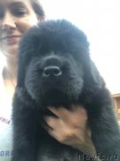 Превью фото № 244049