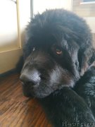 Превью фото № 244072