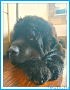 Превью фото № 244074