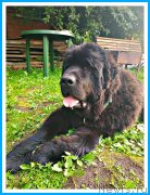 Превью фото № 244075