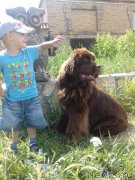 Превью фото № 244096