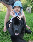 Превью фото № 244120