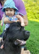 Превью фото № 244121