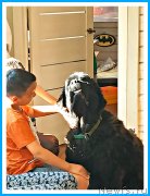 Превью фото № 244126