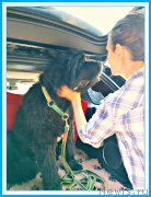 Превью фото № 244135