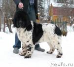 Превью фото № 24414