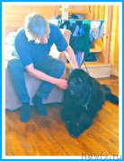 Превью фото № 244159