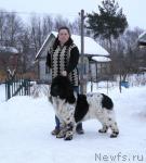 Превью фото № 24419