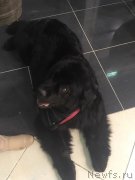 Превью фото № 244214