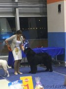 Превью фото № 244215