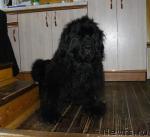 Превью фото № 24422