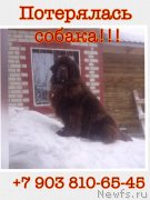 Превью фото № 244224