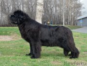 Превью фото № 244240