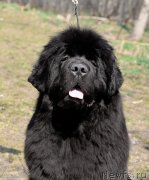 Превью фото № 244243