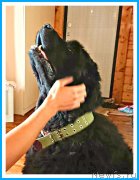 Превью фото № 244276