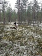 Превью фото № 244321