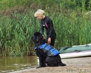 Превью фото № 244333