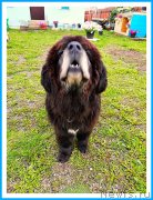 Превью фото № 244344