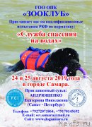 Превью фото № 244357