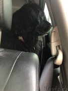 Превью фото № 244366