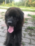 Превью фото № 244372