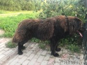 Превью фото № 244373