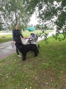 Превью фото № 244380