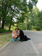 Превью фото № 244401