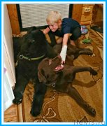 Превью фото № 244500