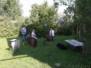 Превью фото № 244540