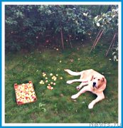 Превью фото № 244561