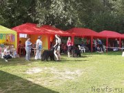 Превью фото № 244636