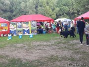 Превью фото № 244640