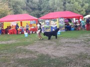 Превью фото № 244641